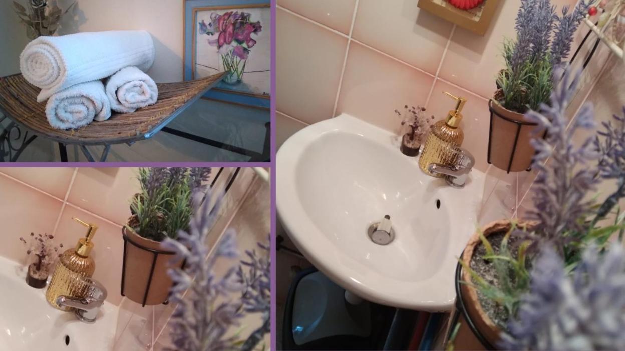 Chez Violette Apartment Lourdes